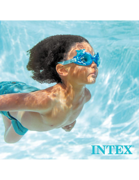 Limpiador Automático Intex ZX300 para Piscinas Grandes Limpiador Automático Intex ZX300 para Piscinas Grandes