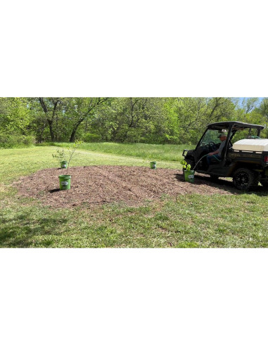Sistema de Riego Profundo SayeGrow BASEX6 para Plantas