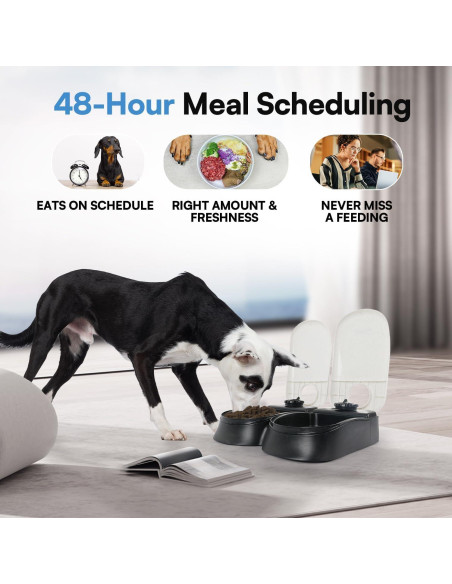 Comedero Automático Pawise para Gatos y Perros 2 Comidas Comedero Automático Pawise para Gatos y Perros 2 Comidas
