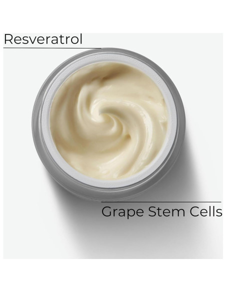 Crema Reafirmante M. Asam VINOLIFT 49.9 ml - Anti-envejecimiento Crema Reafirmante M. Asam VINOLIFT 49.9 ml - Anti-envejecimiento
