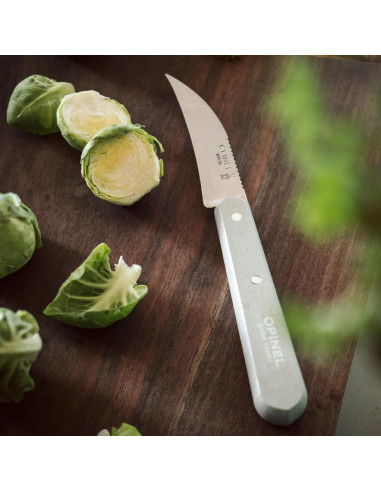 Juego de Cuchillos de Cocina Opinel Les Essentials 4 Piezas