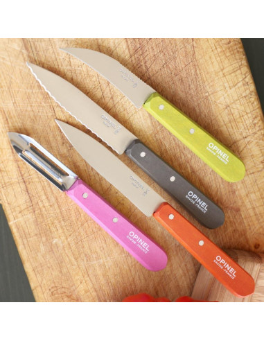 Juego de Cuchillos de Cocina Opinel Les Essentials 4 Piezas