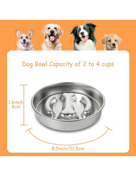 Cuenco Antideslizante para Perros LDXDRU 21.8cm Acero Inoxidable Cuenco Antideslizante para Perros LDXDRU 21.8cm Acero Inoxidable