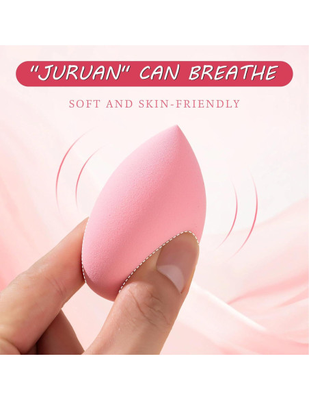 Juego de 6 Esponjas de Maquillaje Blossique Ultra Suaves Juego de 6 Esponjas de Maquillaje Blossique Ultra Suaves