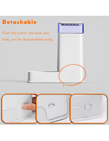 Comedero Automático y Dispensador de Agua para Gatos y Perros - Cuento de Hadas - 1 Galón x 2