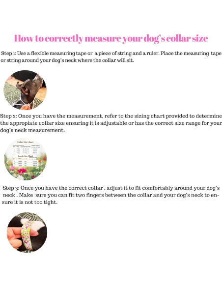 Conjunto Collar y Correa para Perros BOLDPET - Ajustable 40-65 cm Conjunto Collar y Correa para Perros BOLDPET - Ajustable 40-65 cm