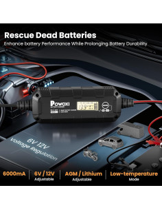 Cargador Mantenedor de Batería POWOXI 6A 6V/12V Inteligente 2
