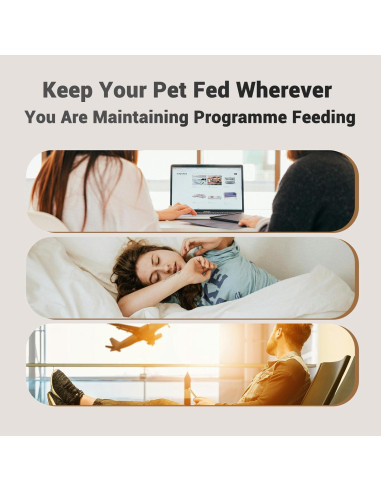 Comedero Automático Doble Petultra para Gatos 4L 2 Tazones