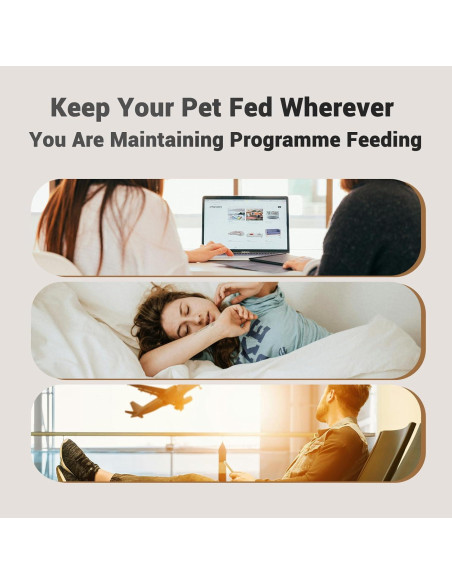 Comedero Automático Doble Petultra para Gatos 4L 2 Tazones Comedero Automático Doble Petultra para Gatos 4L 2 Tazones