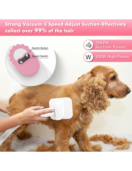 Aspiradora de Pelo para Mascotas ENERTWIST 5 en 1 4L Aspiradora de Pelo para Mascotas ENERTWIST 5 en 1 4L