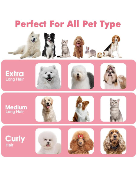 Aspiradora de Pelo para Mascotas ENERTWIST 5 en 1 4L Aspiradora de Pelo para Mascotas ENERTWIST 5 en 1 4L
