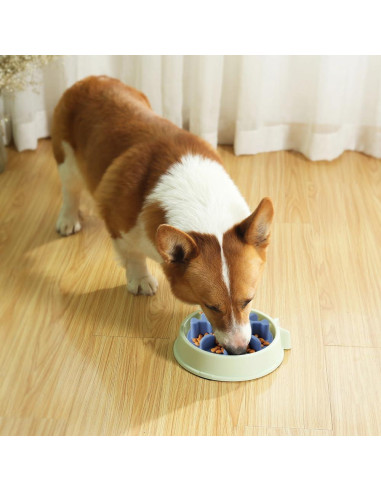 Inserto de Alimentador Lento Animire S - Silicona Azul 8.9cm