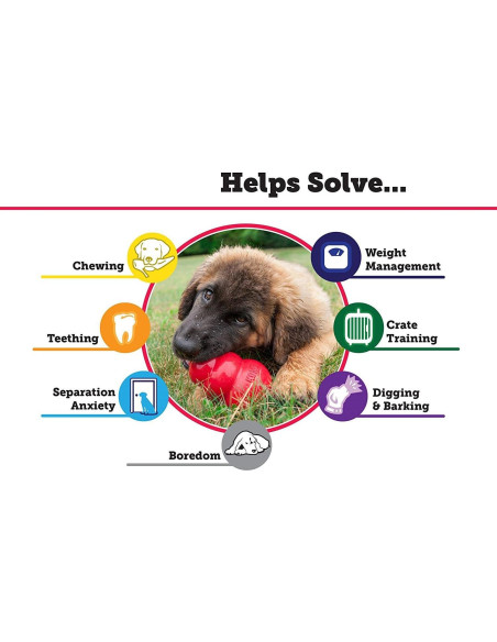 Juguete para Perros KONG Clásico Grande Rellenable 226g Juguete para Perros KONG Clásico Grande Rellenable 226g