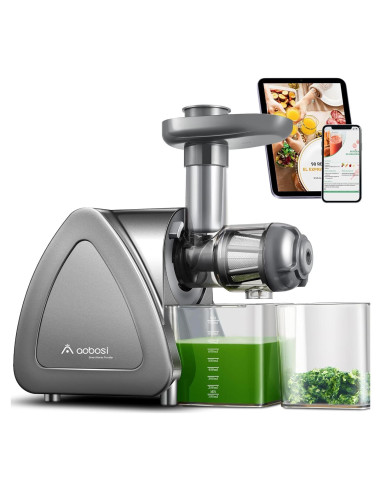 Extractor de Jugo Aobosi Masticador Lento 0.6L Gris