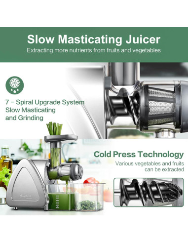 Extractor de Jugo Aobosi Masticador Lento 0.6L Gris