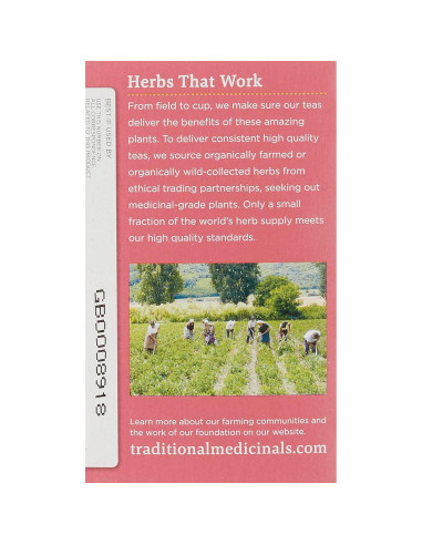 Té Orgánico para Embarazo Medicinales Tradicionales 16 Bolsitas