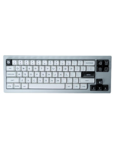 Teclas PBT Doble Inyección REDQIN BOW 160 Teclas Negro Blanco