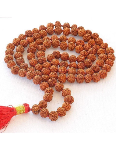 Mala de Rudraksha 108 cuentas 9mm Storite - Meditación y Oración