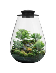 Terrario de Vidrio Tideme con Luz de Crecimiento 17.5x9.3x22cm