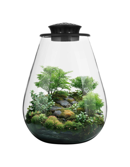 Terrario de Vidrio Tideme con Luz de Crecimiento 17.5x9.3x22cm Terrario de Vidrio Tideme con Luz de Crecimiento 17.5x9.3x22cm