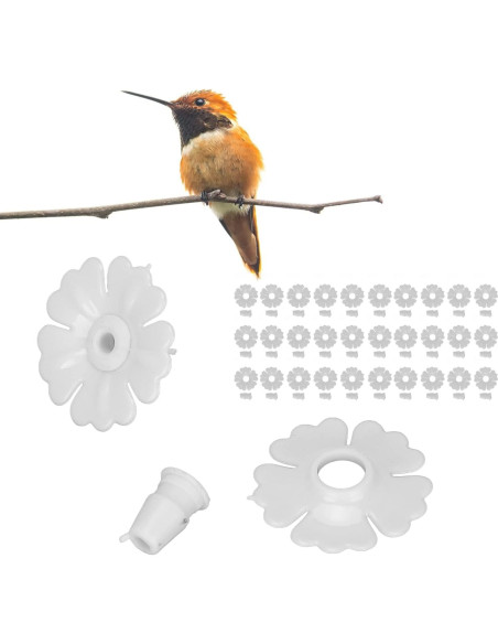 Set de 30 Piezas de Repuesto para Alimentador de Colibrí KooingTech Set de 30 Piezas de Repuesto para Alimentador de Colibrí KooingTech