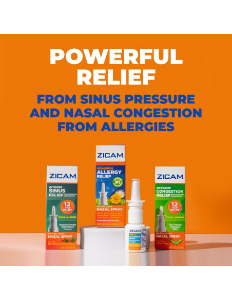 Zicam Spray Nasal Sin Goteo 14.79 ml Alivio Congestión Zicam Spray Nasal Sin Goteo 14.79 ml Alivio Congestión