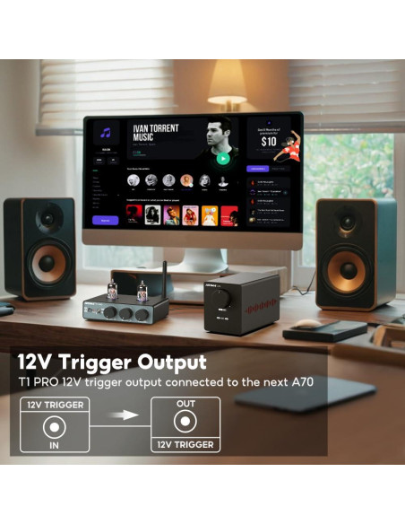 Preamplificador AIYIMA T1 PRO Válvula Bluetooth RCA 12V Preamplificador AIYIMA T1 PRO Válvula Bluetooth RCA 12V