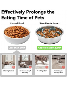 Inserto Comedero Lento LuciPaw 11.43-17.78cm Silicona 2