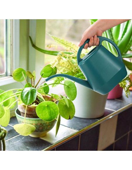 Regadera Fasmov Verde 2L con Pico Largo y Mango Ergonómico Regadera Fasmov Verde 2L con Pico Largo y Mango Ergonómico
