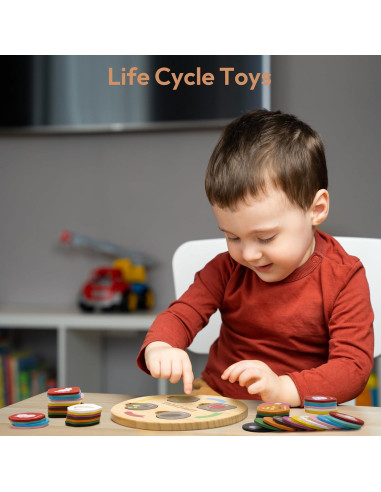 Juguete Educativo Ciclo de Vida Woodtoe 48 Piezas 3-6 Años