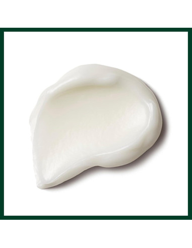 Mascarilla Hidratante Aveda Nutriplenish 25 ml - Cabello Seco