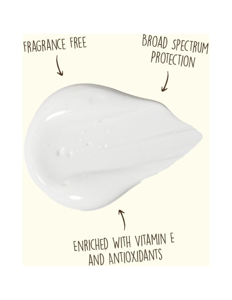 Sun Bum Loción Facial Solar SPF 50 Hidratante 85 g Sun Bum Loción Facial Solar SPF 50 Hidratante 85 g
