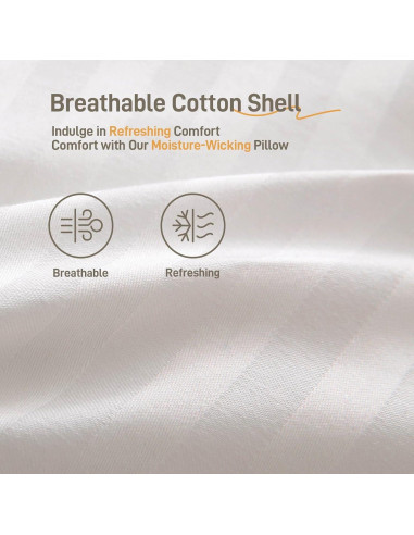 Juego de 2 Almohadas Hipoalergénicas Lyralith King Algodón