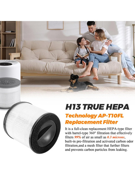 Filtro de Reemplazo HEPA H13 Blutoget AP-T10FL para Homedics Filtro de Reemplazo HEPA H13 Blutoget AP-T10FL para Homedics