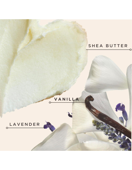 Acondicionador Hidratante Carol's Daughter Black Vanilla 354 ml Acondicionador Hidratante Carol's Daughter Black Vanilla 354 ml