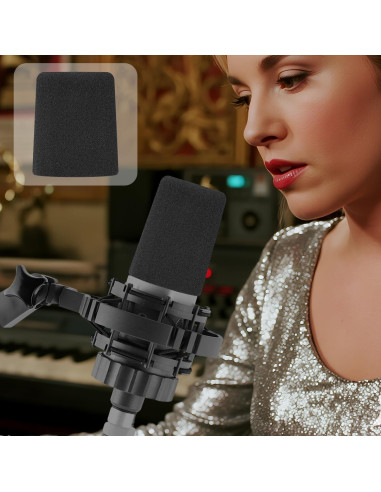Filtros Pop SOULWIT para Micrófonos AKG C214 - 2 Piezas