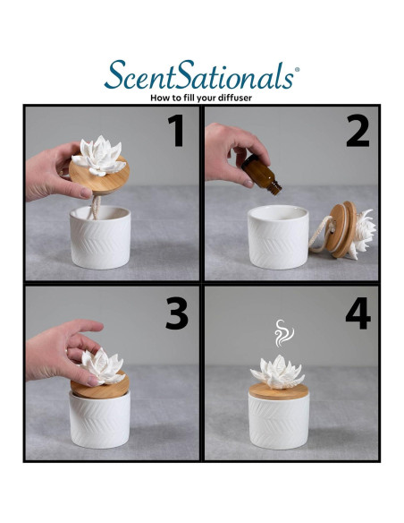 Difusor de Aceite Esencial Cerámica ScentSationals Sophia 388g Difusor de Aceite Esencial Cerámica ScentSationals Sophia 388g