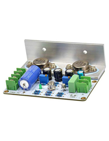 Amplificador HiFi Acxico LB258 PCB DIY 10-15W 1 Canal