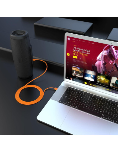 Cable de carga USB C 1.01m Xivip para JBL Charge y Tune