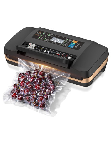 Máquina de Sellado al Vacío QIQIAOB SV608 130W Doble Sellado
