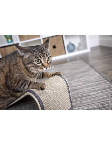 Rascador de Gato SmartyKat en Ángulo con Sisal y Madera