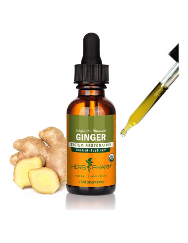 Extracto Líquido de Jengibre Orgánico Herb Pharm 30 ml