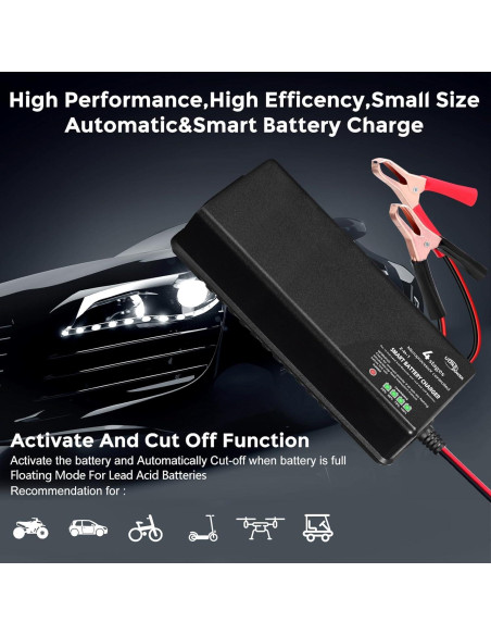 Cargador de Batería Ultrapower 10A para LiFePO4 y SLA 12V Cargador de Batería Ultrapower 10A para LiFePO4 y SLA 12V