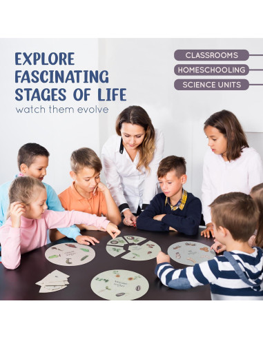 Conjunto de Rompecabezas del Ciclo de Vida Spark Innovations - 8 Piezas