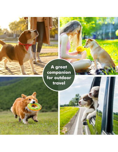 Cuencos Plegables para Perros ZNPET 2-en-1 140g Verde