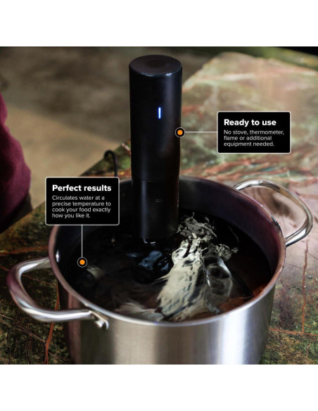 Cocinero Sous Vide Anova Culinary Mini 850W Bluetooth 2024 Cocinero Sous Vide Anova Culinary Mini 850W Bluetooth 2024