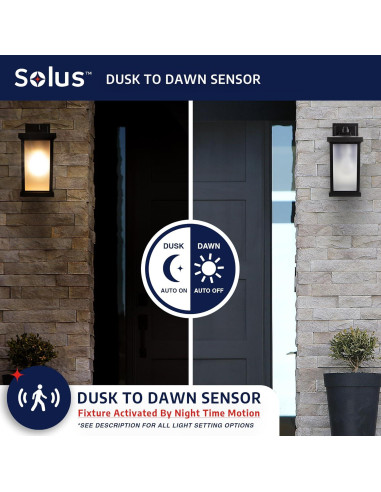 Luz de Pared de Seguridad Exterior Solus - Sensor Movimiento, Negro