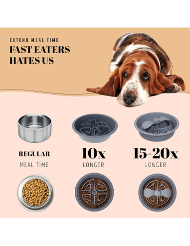 Tazón de Comida Lento AVERYDAY 2.5 Tazas para Perros Grandes