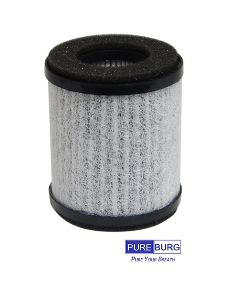 Filtro HEPA PUREBURG AP-P60FL para Purificador Homedics Filtro HEPA PUREBURG AP-P60FL para Purificador Homedics
