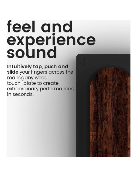 Controlador MIDI Touché Expressive E USB para Sintetizadores Controlador MIDI Touché Expressive E USB para Sintetizadores